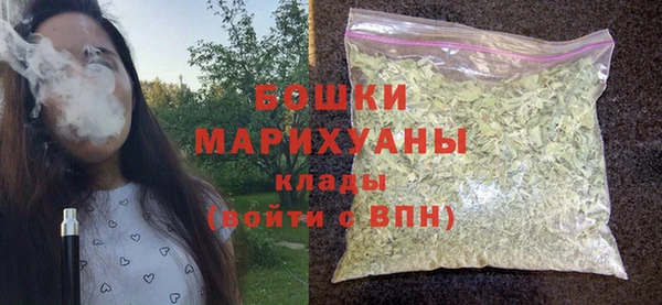 дживик Белая Холуница